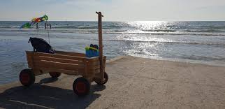 We did not find results for: El Mejor Carro De Playa Del 2021 Cual Elegir