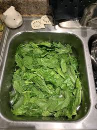 We did not find results for: How To Cook Turnip Greens Southern Turnip Greens The Cooking Bride