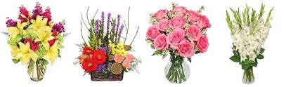 Search homes, research schools and get area information. 9 Best Flower Delivery In Fayetteville Arkansas 2021