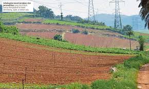 Demikian perjanjian sewa menyewa tanah sawah yang dibuat secara sadar tanpa adanya paksaan dari pihak mana pun. Kebun Haram Warga Asing