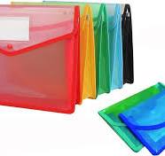 Plastic Expanding Cheque Size File Folder, Transparent at ...