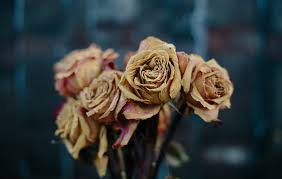 What flowers are used during dia de los muertos? Dead Flowers And Letting Go Words Of Women