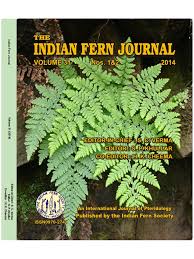 Image result for Pellaea longipilosa