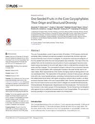 Image result for Lophiocarpus tenuissimus