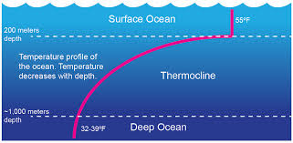 Ocean Layers Mixing Time Scavengers