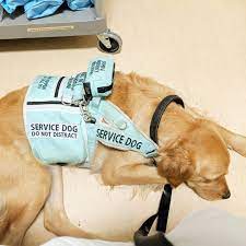 Pin Auf Animals And Pets