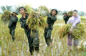 Kết quả hình ảnh cho hình ảnh bộ đội cụ hồ