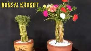 Ide kreatif bagaimana cara menanam tanaman bunga krokot atau bunga sepuluh jam model terbaru, belum banyak yang tahu. Ide Kreatif Tanam Bunga Krokot Gantung Di Botol Terbalik Youtube