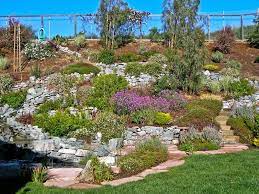 Pin On Yard Garden