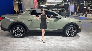 Image result for Rockwood Green 2025 Santa Cruz