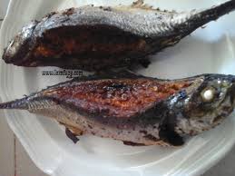 Resepi ikan siakap bakar sambal, resepi ikan cencaru bakar sambal, resepi ikan kembung bakar sambal, resepi ikan bakar portugis, resepi ikan bakar bersambal curlybabe's satisfaction: Resepi Ikan Cencaru Sumbat Sambal Kelapa Terlajak Sedap Iamfuzy Com