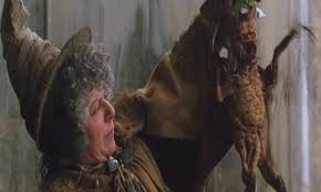 On Mandrakes Harry Potter Transplanting