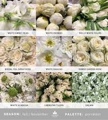 Deadhead periodically for continuous blooming all season long. Mayesh Cooler Picks End Of Fall