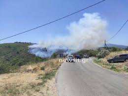 Φωτιά έχει ξεσπάσει σε δασική έκταση στον βαρνάβα αττικής, με την πυροσβεστική να τίθεται σε κατάσταση συναγερμού. Grzxnukkgdetnm