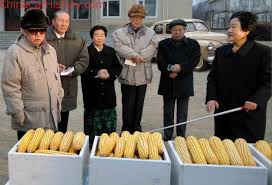 The average temperature and precipitation of each month in pyongyang weather forecast can also be confirmed. Cars Of The Dprk North Korea Chinacarhistory