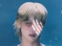 Nicholas (&TEAM) profile, age & facts (2025 updated)