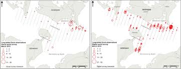 Tutorial for training a deep learning based custom object detector using yolov3. Comparison Of Digital Video Surveys With Visual Aerial Surveys For Bird Monitoring At Sea Springerlink
