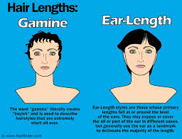 Maybe you would like to learn more about one of these? The Pros And Cons Of Particular Hairstyle Lengths Gamine And Ear Length Haircuts