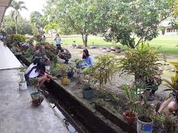 Istilah gotong royong juga bisa di artikan sikap gotong royong juga sudah lama tumbuh di indonesia dari kepemimpinan presiden ir.soekarno. Koramil 1312 03 Beo Ajak Murid Smp Neg 1 Beo Gotong Royong Bersihkan Lingkungan Sekolah