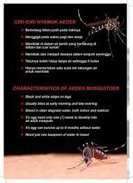 Air bertakung menyebabkan pembiakan nyamuk. Avironracing Com Malaysia Dragon Boat Kayak Rowing Facebook