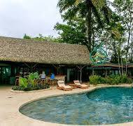 Best Waterproof HDPE Palm Leaf Thatch For Tiki Hut Roof ...