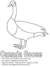 See the whole set of printables here: Canada Goose Coloring Page