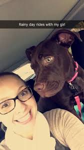 🖤✨ CHECKMATE CUTIE ✨🖤