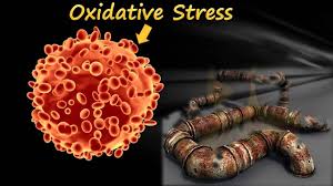 To Learn More About This Scientifically Backed Break Through Wellness Technology Please Visit Www Lifevantage Com Mbdlegacy Lifevantage Protandim Glutathione