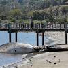 Dockweiler state beach is the long beach west of the lax airport in the playa del rey district of los angeles. 3