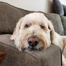 FanDuel has lost my business forever 🤦🏻‍♂️