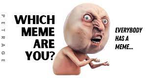 Which Meme Are You Quiz Petrage