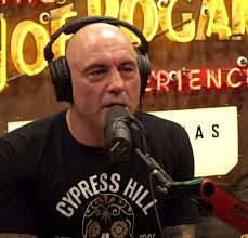 After 3 Decades in the UFC, Joe Rogan Exposes the Early Days of His  Organization: “They Lied…”