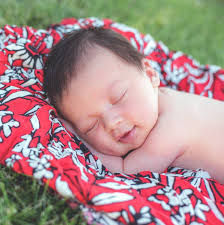 Lisa Malcolm Photography