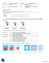 The cell membrane structure coloring page is the perfect activity for teaching cell membrane structure and transport. Coloring Pages Cell Membrane Coloring Activity Worksheet