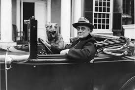 Let's know more about franklin roosevelt. Biography Of Franklin D Roosevelt 32nd U S President