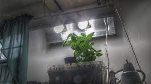 They contain mercury and can take a while to warm up to full brightness. Cheap Diy Cfl Grow Light Instructables
