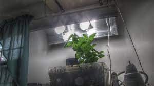 Maybe you would like to learn more about one of these? Cheap Diy Cfl Grow Light Instructables