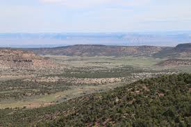 This hike boasts easy access from grand junction in the colorado national monument park in mesa county colorado. Gjhikes Com Tabeguache Cactus Park Section