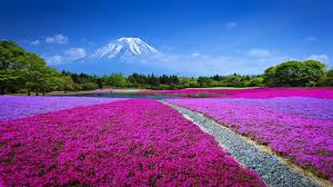 Awesome Nature Ultra Hd 4k Wallpapers 3840x2160 Nature Wallpapers Ultra Hd Refresh Mind With Nature Here you can find the best 4k nature wallpapers uploaded by our community. nature ultra hd 4k wallpapers 3840x2160