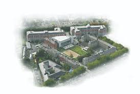 Gu became active in 1975. Griffith College Dublin Wikipedia