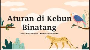 Nah dalam hal ini wajib hukumnya kita membawa lensa tele ya senggak enggaknya 85 mm. Aturan Di Kebun Binatang Tematik Kelas 1 Tema 7 Subtema 2 Youtube