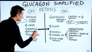 Glucagon is used as an emergency drug in hypoglycemia, mainly when the patient is unconscious. Dr Eric Berg In This Video I Discuss Glucagon