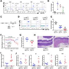 2000 km ke al haram. Neutrophils Restrict Tumor Associated Microbiota To Reduce Growth And Invasion Of Colon Tumors In Mice Gastroenterology