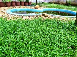 Kerala style landscape design photos. Kerala Style Landscape Design Photos Kerala Home Design And Floor Plans 8000 Houses