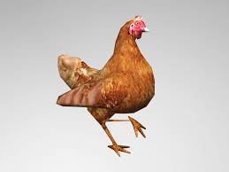 Animated Chicken Animation Chicken 3d Design
