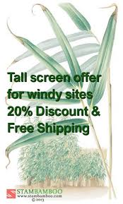 If you're actually interested in planting bamboo plants indoors i would recommend you check out this page called indoor bamboo plant! Offer 8 Tall Screen Offer For Windy Sites Stambamboo Ireland S No 1 For Bamboo Online