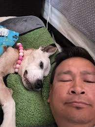 Sending some love to this old lady.🎂 Happy 17th birthday, Ripley ​​❤  #fblifestyle