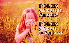 Polen alerjisi tehlikeli olabilir… ülkemizde burdur, samsun, i̇stanbul, ankara, bursa ve kütahya bölgelerinde ağaç ve çayır polenlerine yaygın olarak rastlanmaktadır. Polen Alerjisi Nedir Polen Alerji Ilaci Alerjiler Saglik Polenta
