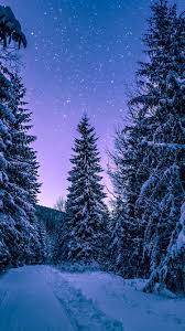 Winter Night Phone Wallpapers Top Free Winter Night Phone Backgrounds Wallpaperaccess If you're looking for the best winter night wallpaper then wallpapertag is the place to be. winter night phone wallpapers top