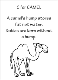 Places to discover and i wouldn't wanna do it with another don't forget the journeys in the snow solving mysteries and in the desert full of camels as i finish this song, i have one request that you be in my arms. English Abc Animals For Kids Camel Fun Facts